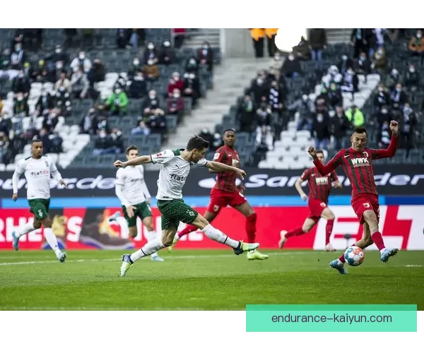 海伦芬球队结构分析与发展趋势解析