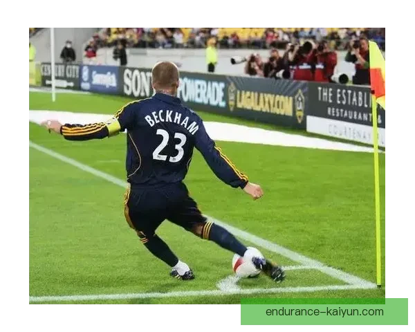 里奥进攻套路解析：战术组合与实战应用